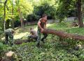 Members of the Serbian Armed Forces in "Spring Cleaning of Serbia" Campaign